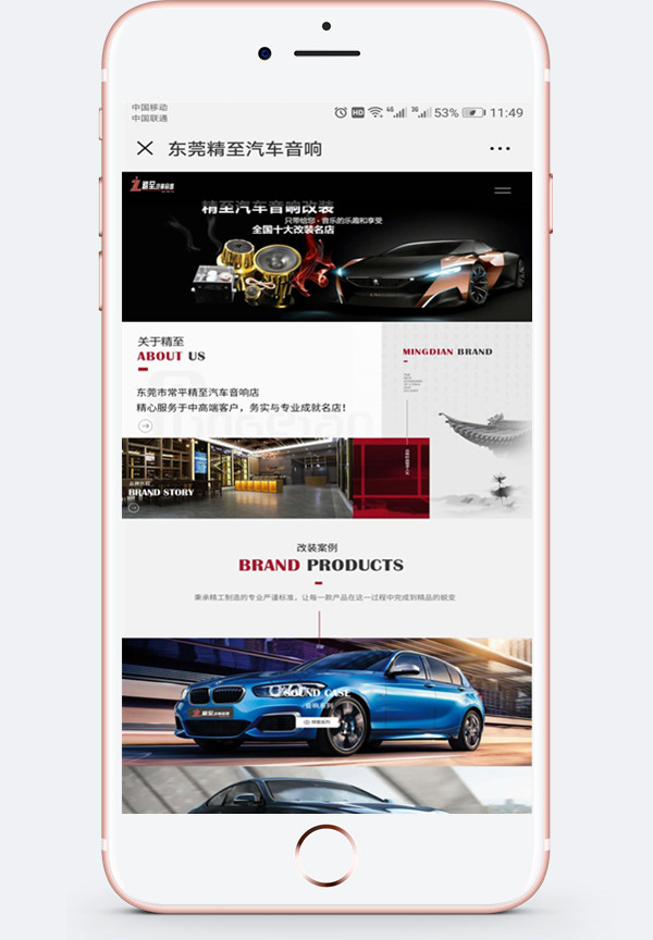 手機(jī)網(wǎng)站建設(shè)案例-某汽車(chē)音響行業(yè)網(wǎng)站